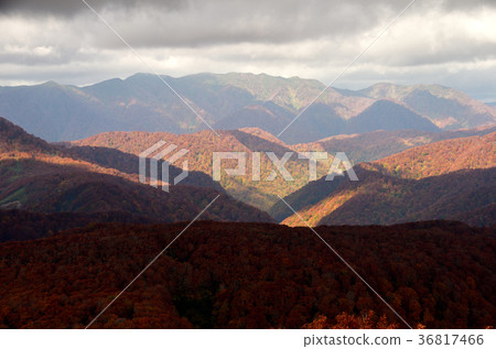 從Nitsutsu山頂，山的秋葉。 36817466