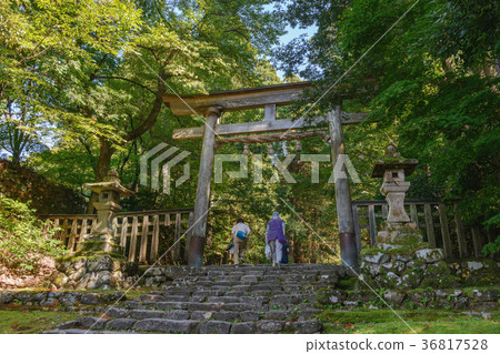 平泉寺白山神社接近方式風景 36817528