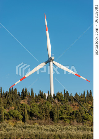 Wind Turbine with Blue Sky and Trees 36818093