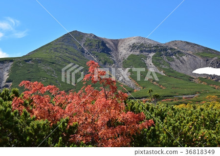 秋葉峰頂的Norikura山 36818349