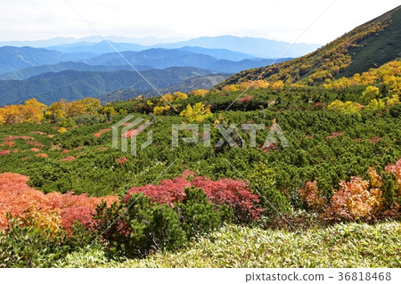 秋葉峰頂的Norikura山 36818468