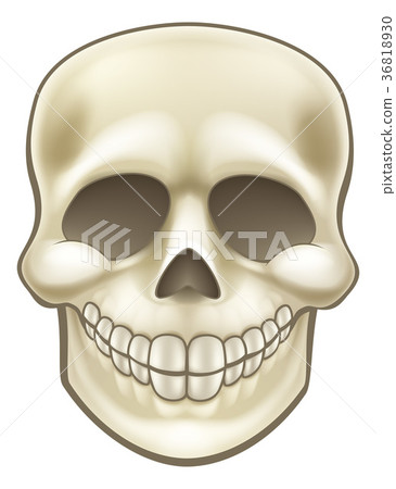 Cartoon Skull 36818930