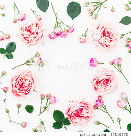 Floral round frame made of roses isolated on white Floral round frame made of roses isolated on white 36819278