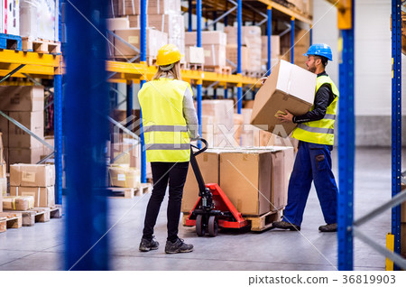 Young workers in a warehouse. 36819903