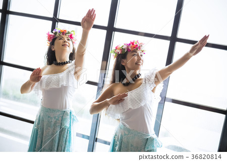 Hula dancer dance 36820814