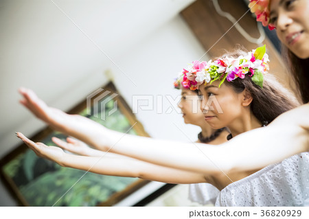 Hula dancer dance 36820929