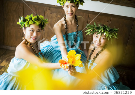 Hula dancer portrait Hula dancer portrait 36821239