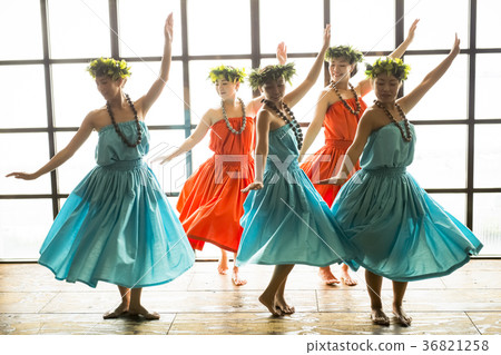 草裙舞者舞蹈 36821258