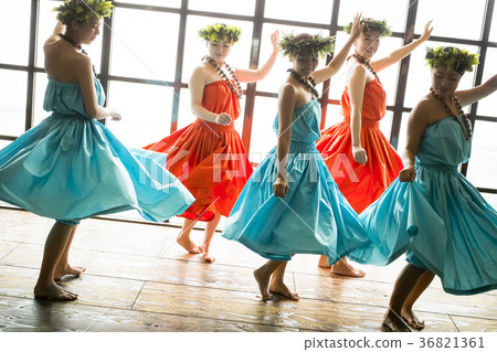 Hula dancer dance 36821361
