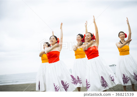 跳舞在海灘的Hula舞蹈家 36821539