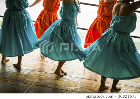 草裙舞者舞蹈 36821673