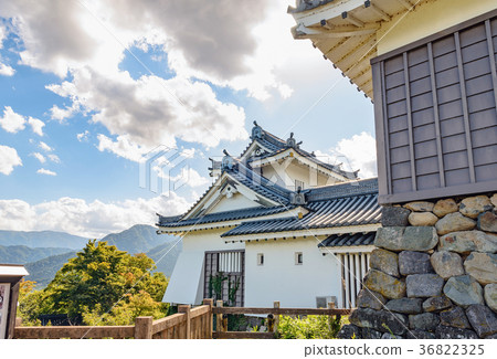 Echizen Ono Castle 36822325