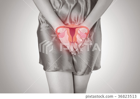 Menstruation Menstruation 36823513