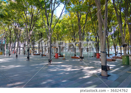 Keyaki Hiroba Saitama New Urban Center Keyaki Hiroba Saitama New Urban Center 36824762