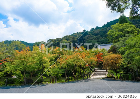 Kyoto Eikan-do (Kyorinji Temple) 36824810