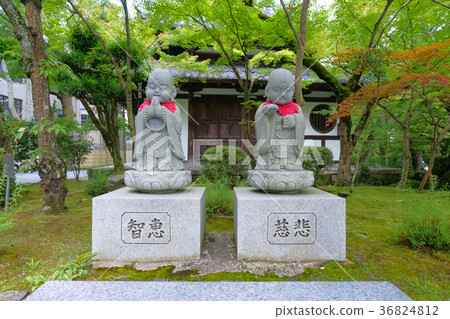 京都Eikan-do(Kyorinji Temple)Chie和Mercy Jizo 京都Eikan-do(Kyorinji Temple)Chie和Mercy Jizo 36824812