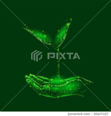 Low poly sprout plant in hand. Save ecology  36825107