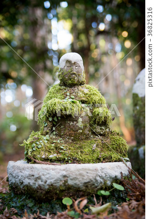 靜岡縣立寶庫的地藏 36825316