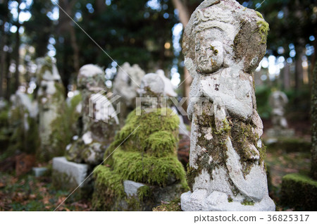 靜岡縣立寶庫的地藏 36825317