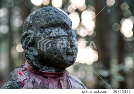 靜岡縣立寶庫的地藏 36825321