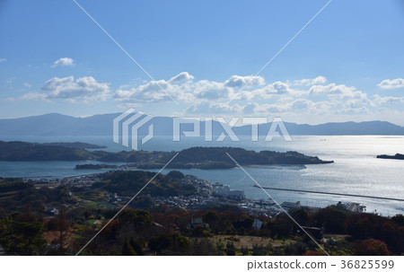 Cowyard橄欖園 36825599