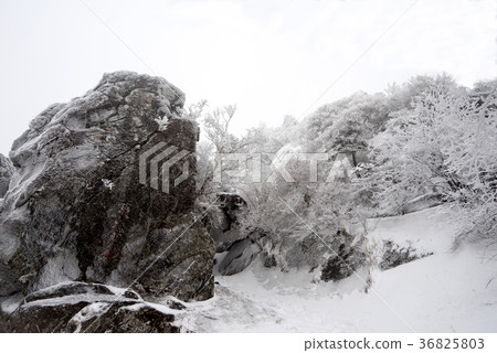 Chunwangbong, Jirisan, Gyeongnam 36825803