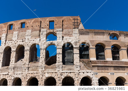 Colosseum 17 36825981