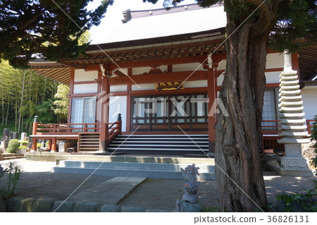 圓覺研究所 36826131