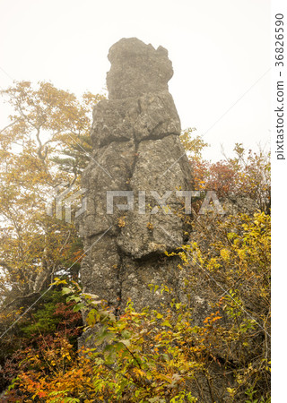 Yunhae, Jirisan, Gyeongnam Yunhae, Jirisan, Gyeongnam 36826590