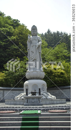 Seaside Kannon Figurine, Sea Shell, Ulleung-gun, Gyeongbuk 36826653