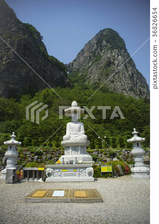 Ulleung County, Gyeongbuk Province Ulleung County, Gyeongbuk Province 36826654