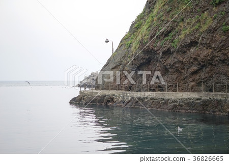 慶北省鬱陵縣 慶北省鬱陵縣 36826665