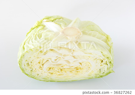 Half cabbage 36827262