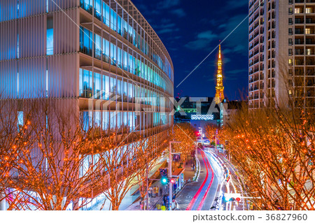 Tokyo Roppongi Keyakizaka Illumination Tokyo Roppongi Keyakizaka Illumination 36827960