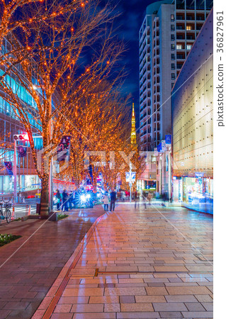 Tokyo Roppongi Keyakizaka Illumination 36827961