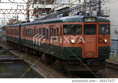 新越本線115系列(前進列車)在新潟站下車 新越本線115系列(前進列車)在新潟站下車 36827977