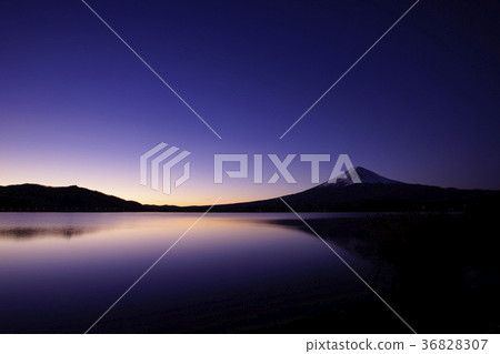 Mount Fuji (view from Lake Kawaguchi, Oishi Park) Mount Fuji (view from Lake Kawaguchi, Oishi Park) 36828307