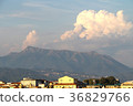 view of Viareggio from the side of the pier 36829766