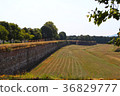 Fortress wall in the city of Lucca 36829777