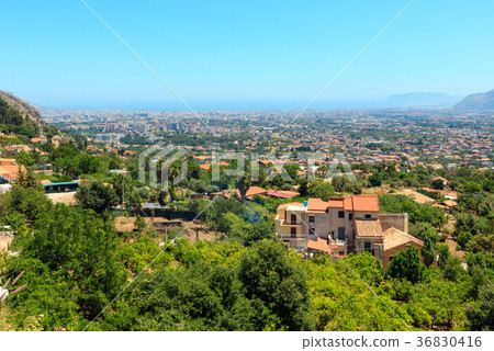 Palermo view from the  Monreale town 36830416