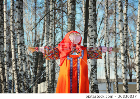 Maslenitsa Scarecrow in winter sunny day 36830837
