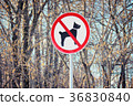 Sign prohibiting dog walking 36830840