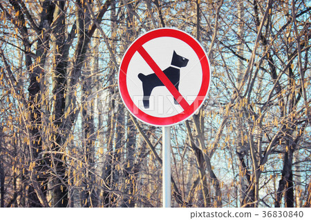 Sign prohibiting dog walking Sign prohibiting dog walking 36830840