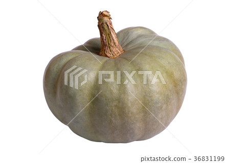 Cucurbita maxima Cucurbita maxima 36831199