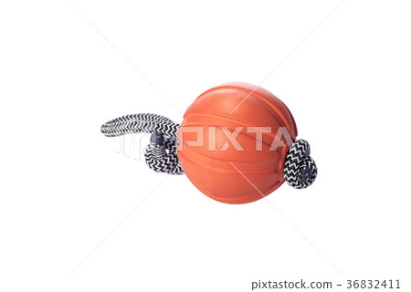 Liker: ball on cord - toy for dog training and fun 36832411