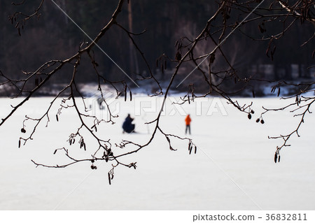 Winter fishing. River, lake near forest in ice 36832811