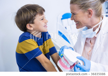 Happy dentist holding dental mold while looking at boy Happy dentist holding dental mold while looking at boy 36835086