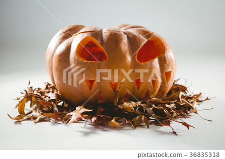 Jack o lantern on leaves over white background Jack o lantern on leaves over white background 36835318