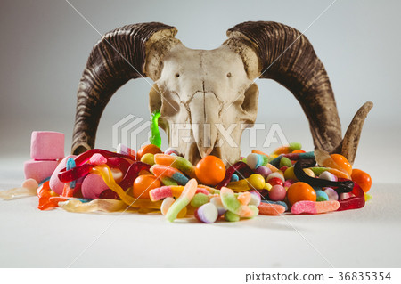 Animal skull with candies over white background Animal skull with candies over white background 36835354