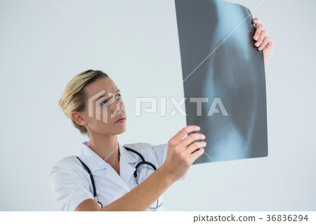 Female doctor examining X-ray Female doctor examining X-ray 36836294